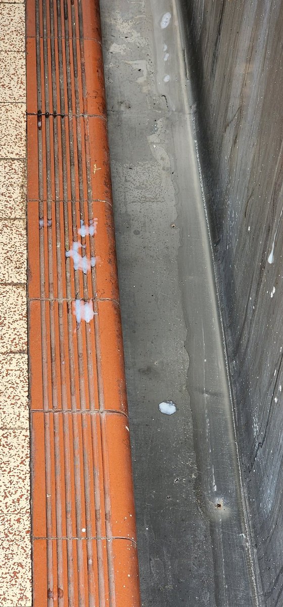 Tradie battle-kitty tweet media