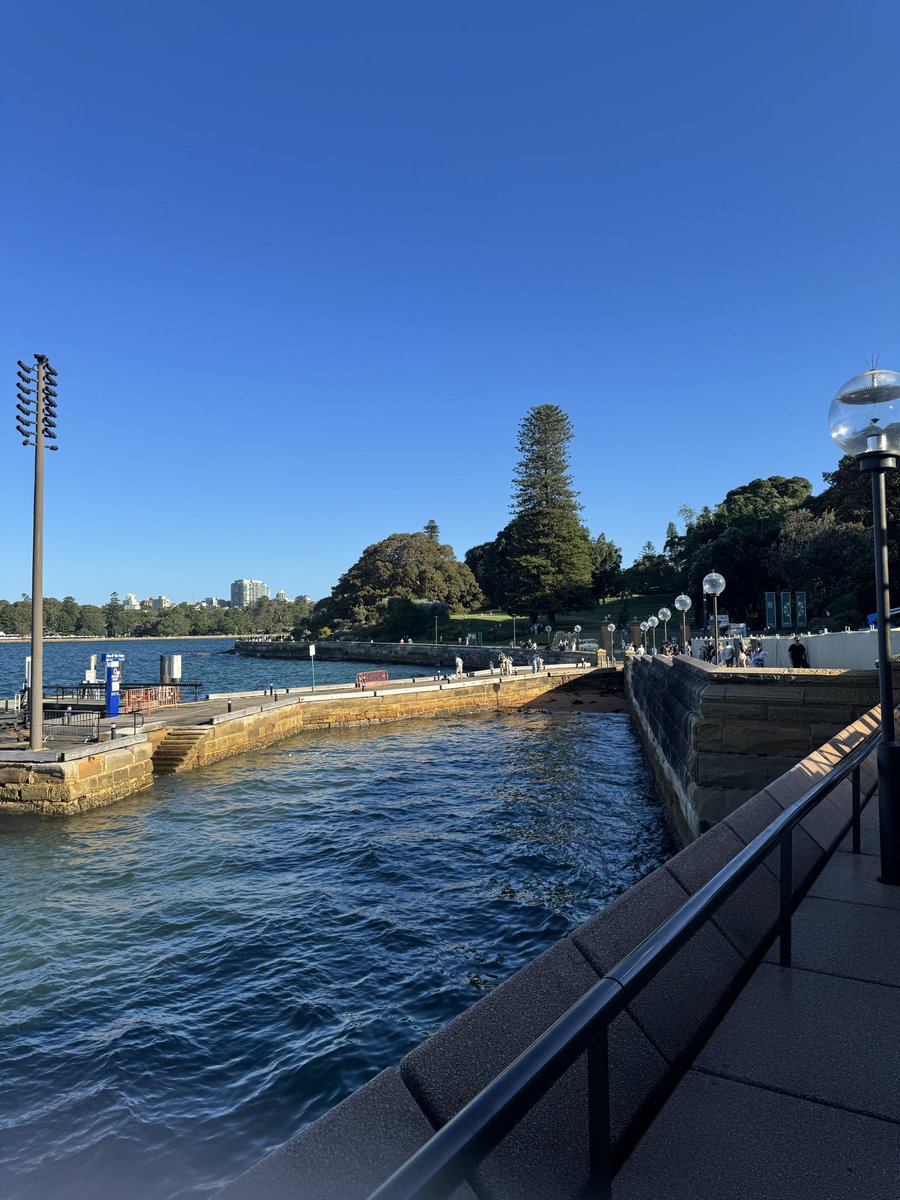 NS Xross tweet media