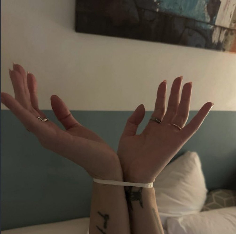 . ݁₊ ⊹ . ݁ 𖤝 ݁ . ⊹ ₊ ݁.