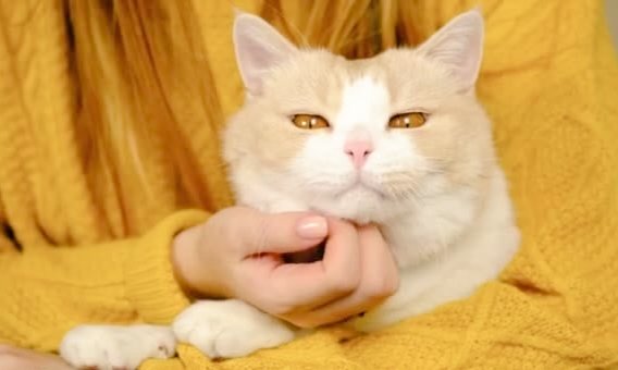 ⚡
خوشی  بانٹنے  سے  کم  نہیں  ہوتی،
بلکہ  اور  بڑھ  جاتی  ہے۔
اگر آپ کے چند  الفاظ یا  ایک  مسکراہٹ
کسی کے  دن کو خوبصورت بنا دیتے ہیں
تو  بس  یہی  کافی  ہے۔

اسلام وعلیکم 💫 
#X_promo