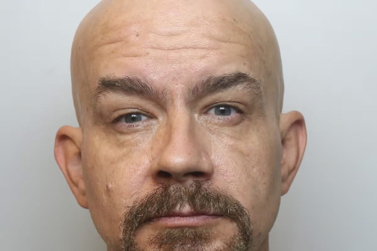 Danielle Proto tweet media