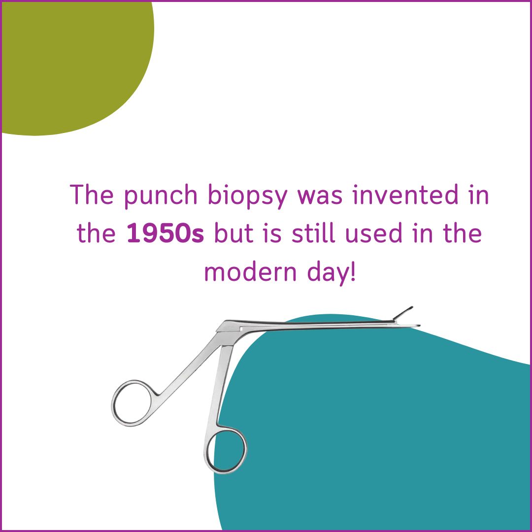 Histologics tweet media