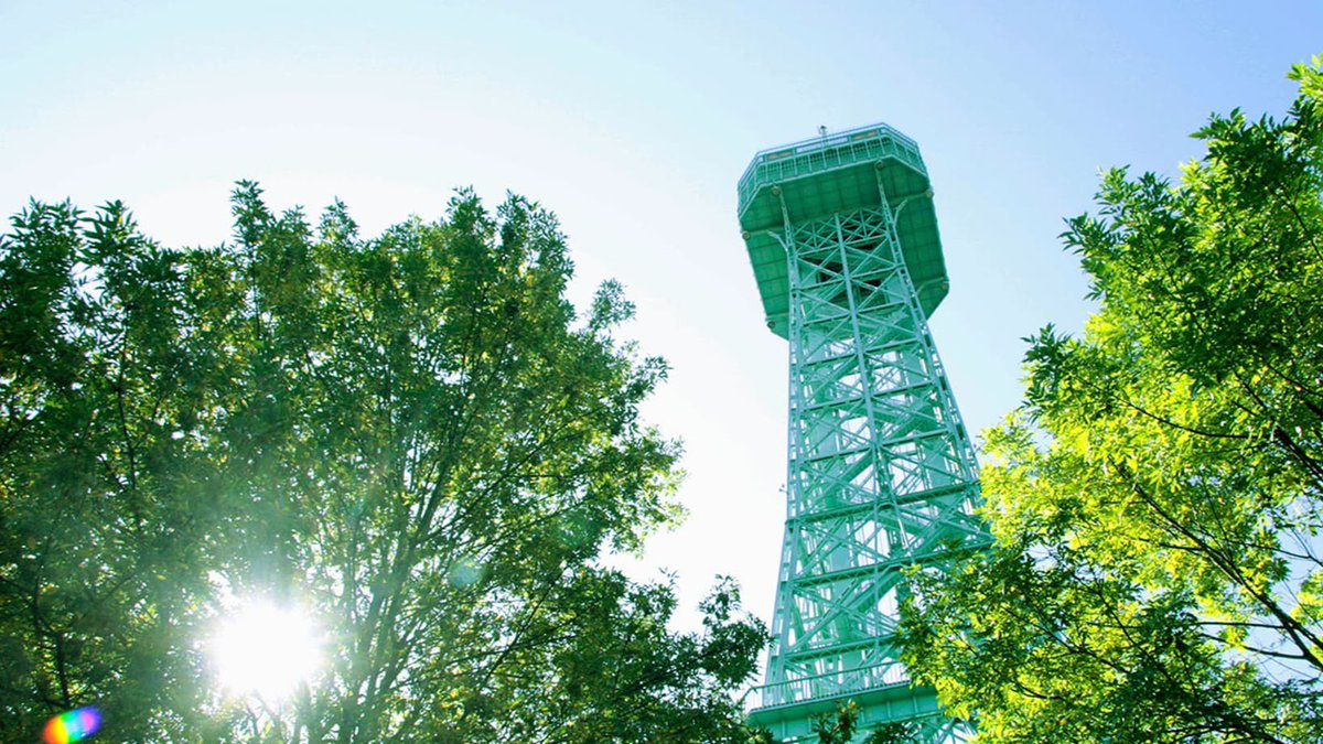 KingsDominionVA's tweet image. Here's a #TriviaTuesday question for you. How tall is the #KingsDominion Eiffel Tower? ⁉️ 

A. 305
B. 299 
C. 325
D. 331