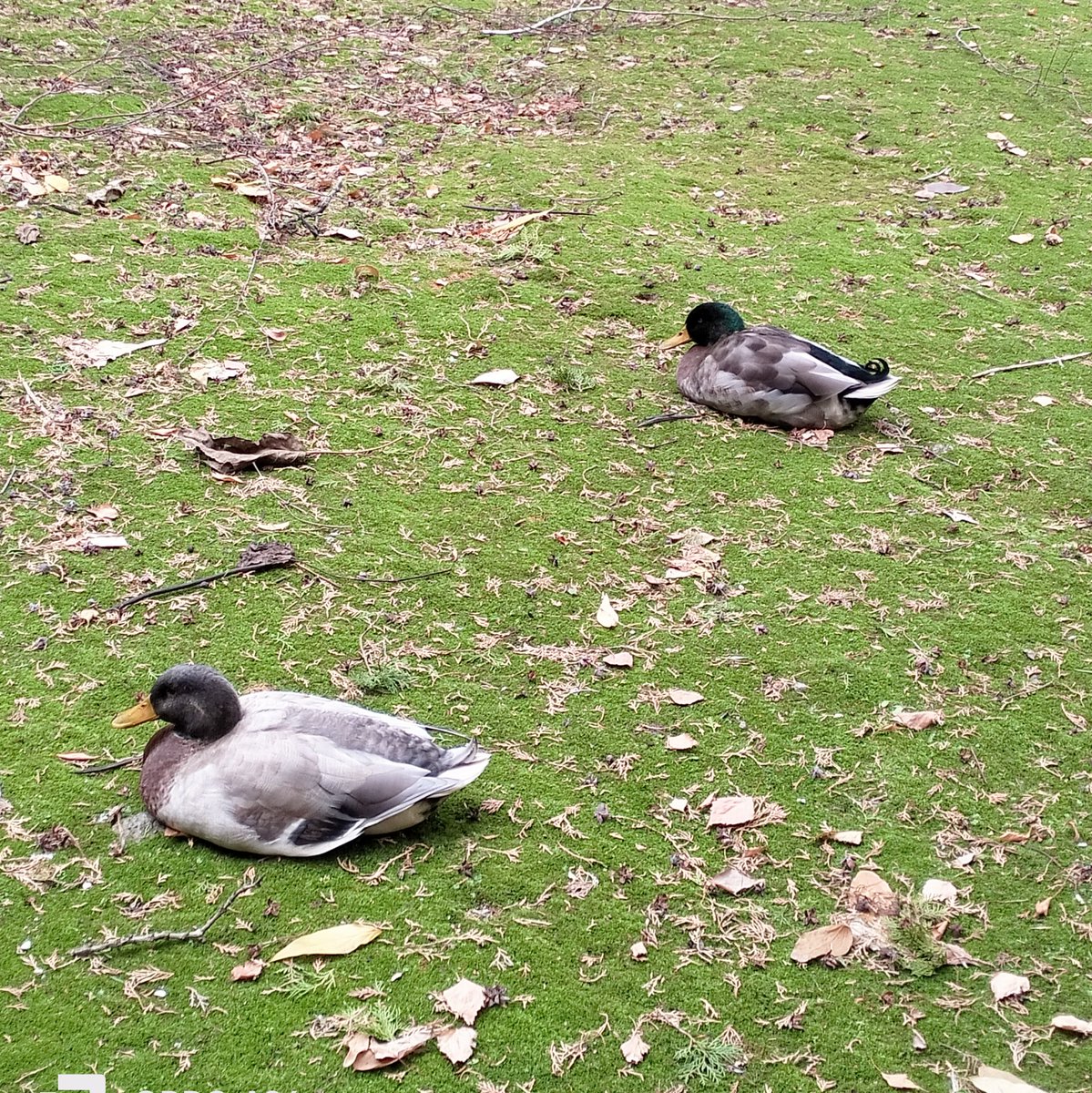 Il prossimo è una creatura da adoperare con rispetto.