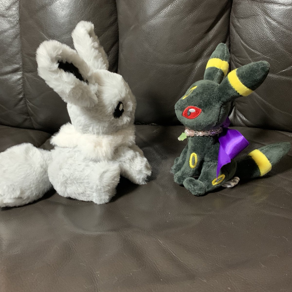 トレーナーさんが色違いイーブイのぬいぐるみを作ってたよ！
トレーナーさんは昔の銀色のイーブイのイメージが強いんだって！