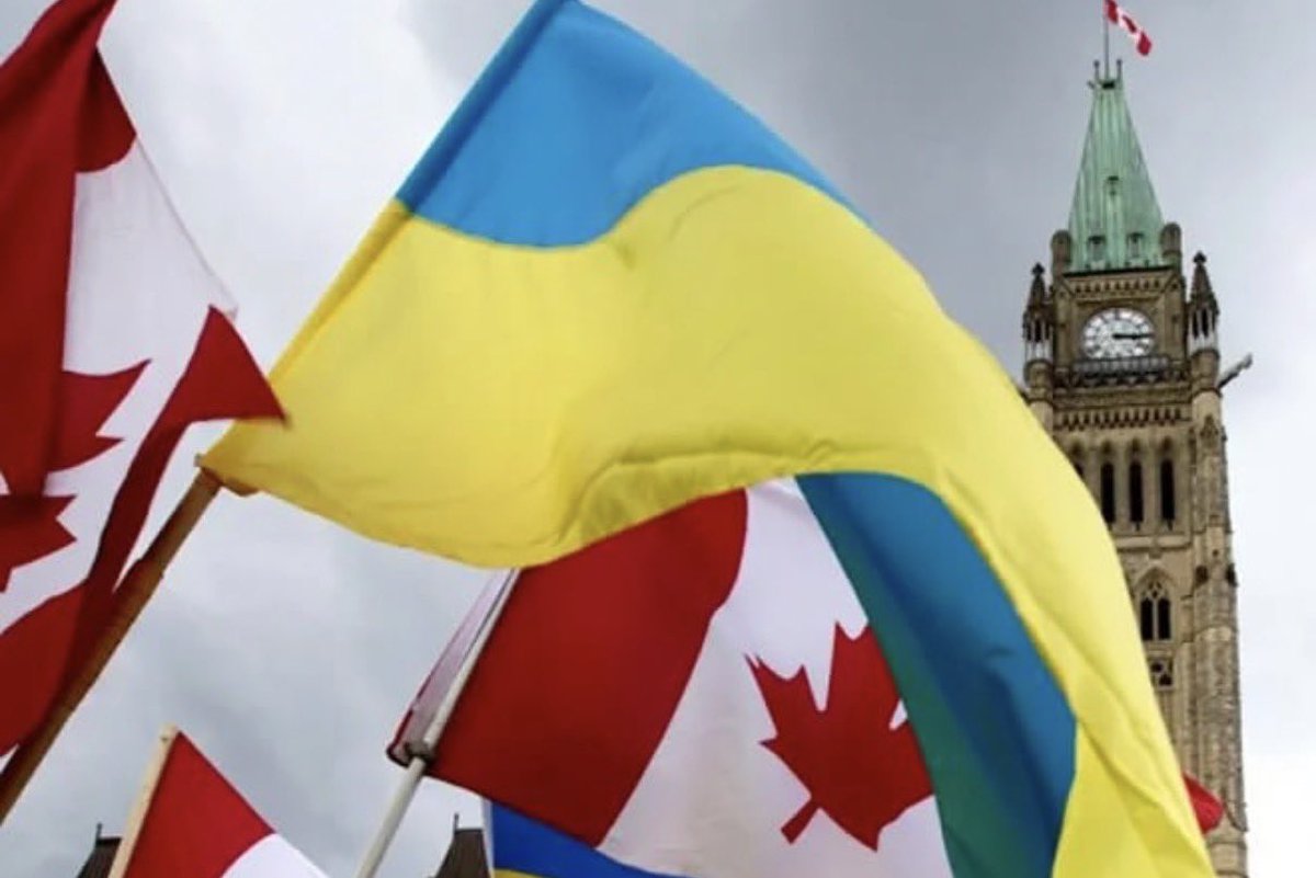 Ziad Aboultaif tweet media