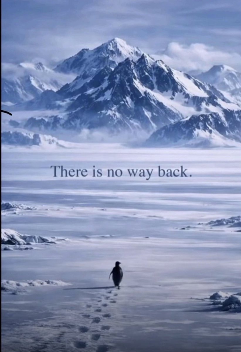 Let’s go little $penguin you can do it ! There is no way back 

$sol <a href="/toly/">toly 🇺🇸</a>