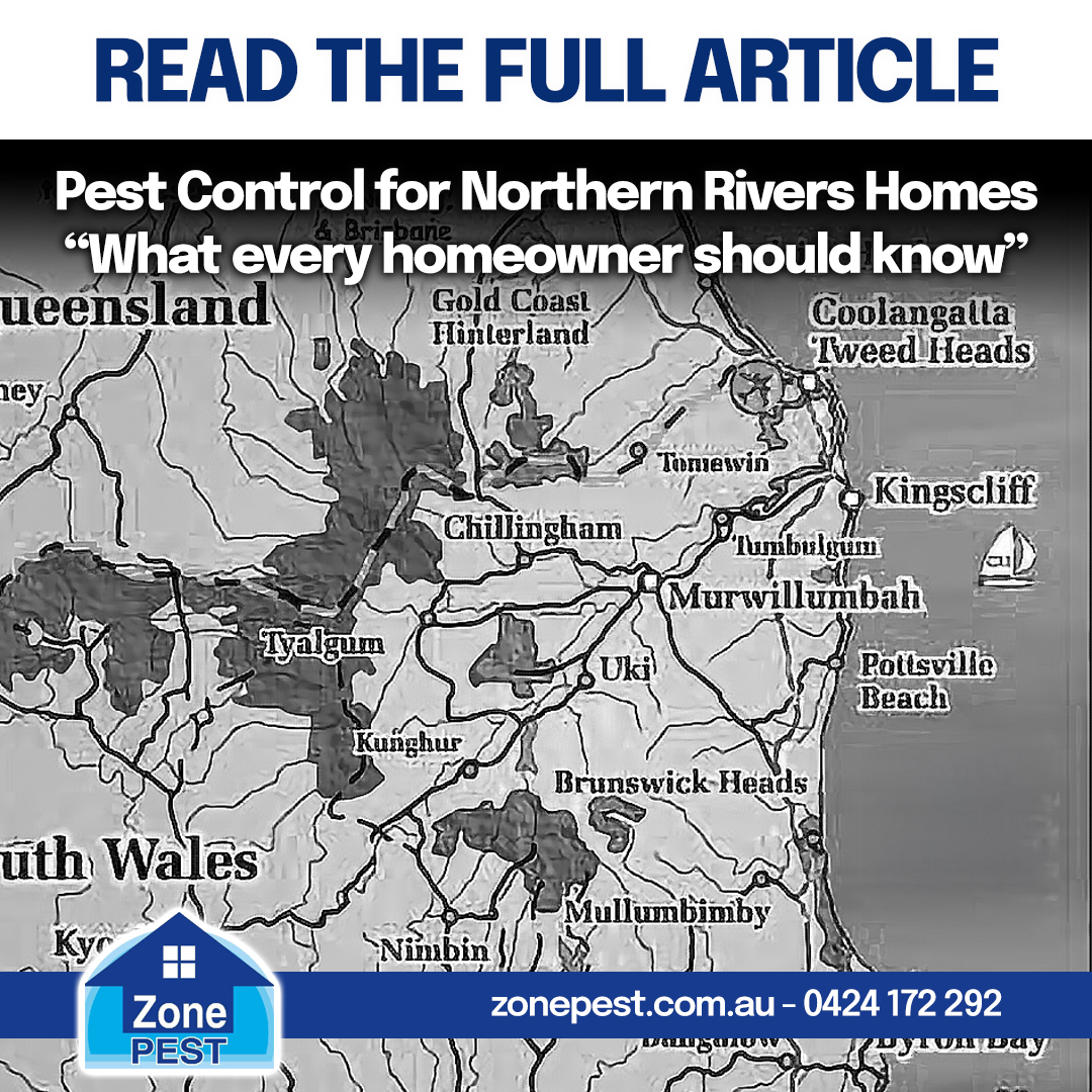 MatthewDavids8's tweet photo. 15 years working across the Northern Rivers has taught me one thing:

Pest control here is different.
I’ve written a guide for local homeowners:

Read it here 👇
 https://t.co/jlQv4jlxqE
#NorthernRivers #Termites #PestControl https://t.co/VcVZ9FGVjh