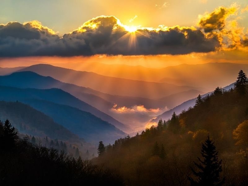 Shrishansiva's tweet photo. Good Morning, Wonderful Wednesday! 🌅

New day, new energy, new chances to shine ✨ 

Keep pushing forward and you’ve got this! 💪

Rise, grind, and make today count.

#GoodMorning | #WednesdayMotivation | #PositiveVibes  | #MidweekBoost https://t.co/pjAX87Tifq