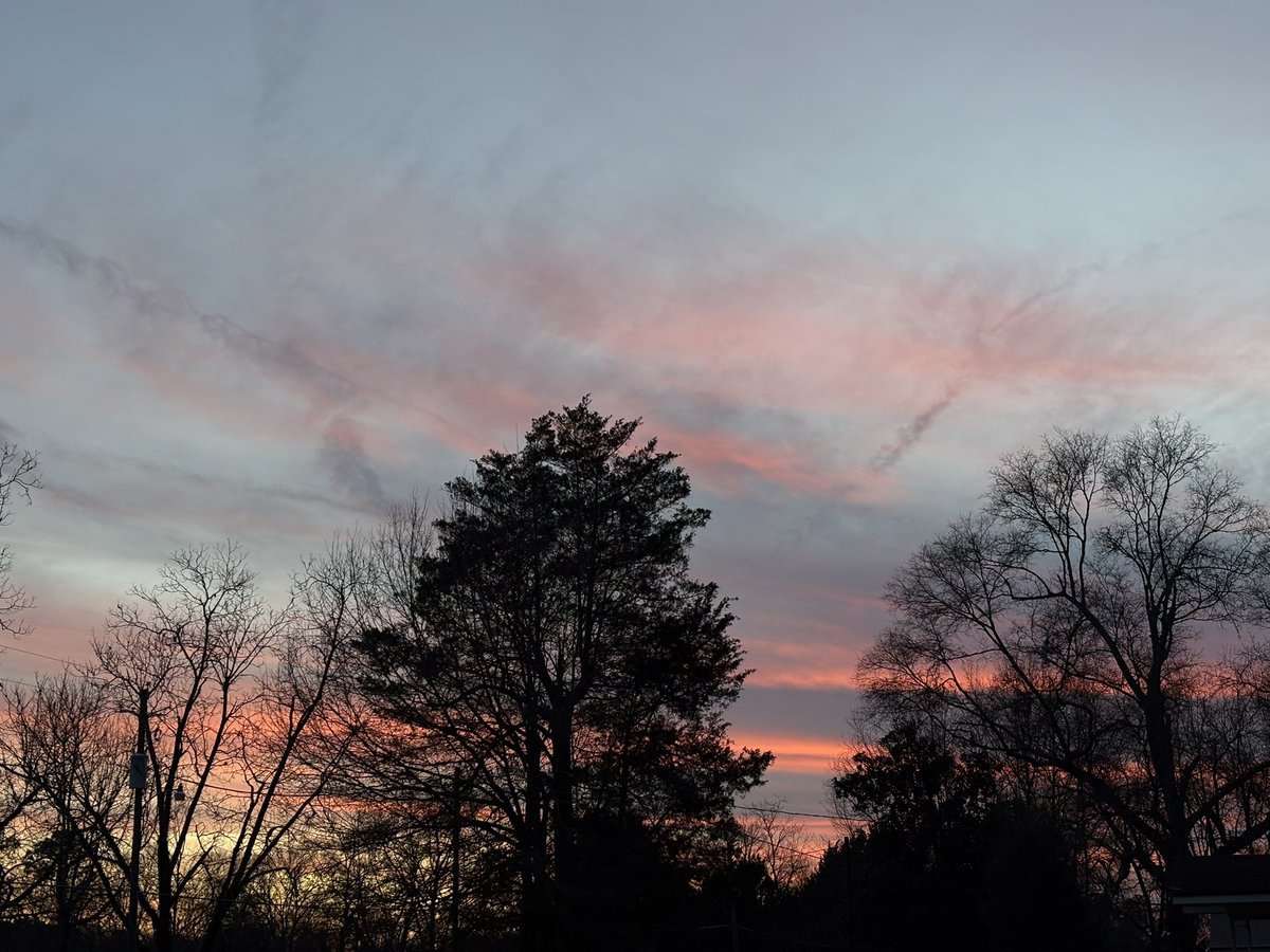 𝚋𝚛𝚒𝚝𝚝 𝚐 🐧 tweet media