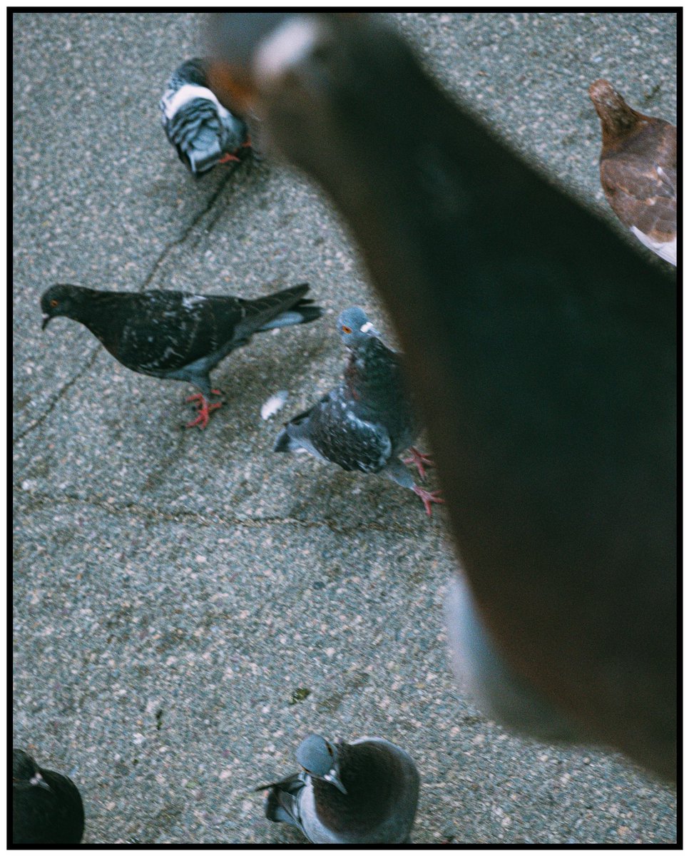 robotbackwards tweet media