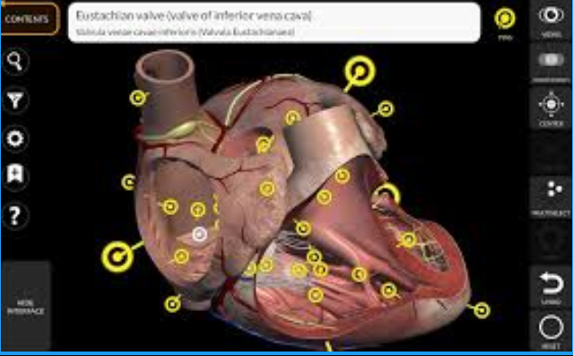 Simon Thazhigilla Simon🇳🇬🇳🇬 tweet media