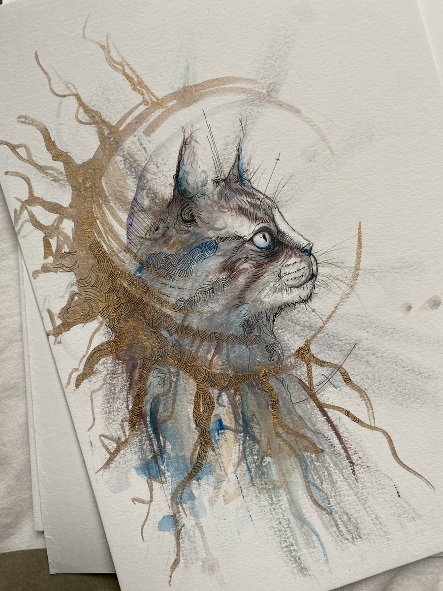 Darkesthone tweet media