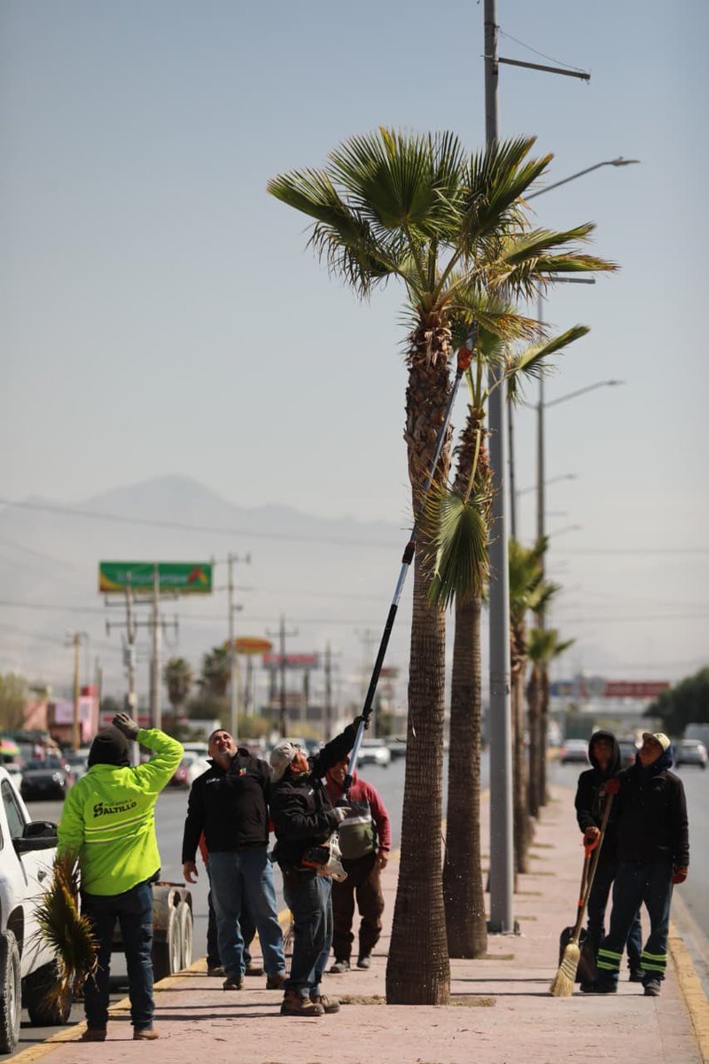 SaltilloGob's tweet photo. #AquíAndamos intensificando la rehabilitación de pavimento de vialidades al poniente de #Saltilllo con nueva carpeta asfáltica, así como en los bulevares Javier García Villarreal y Venustiano Carranza. 🚗💨 (1/3) https://t.co/VM9SRDqWFT