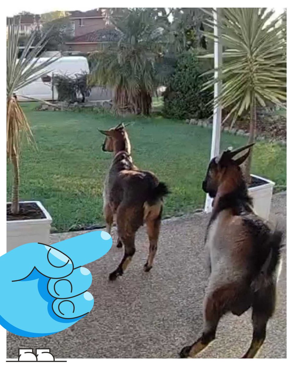 Snap Send Solve tweet media