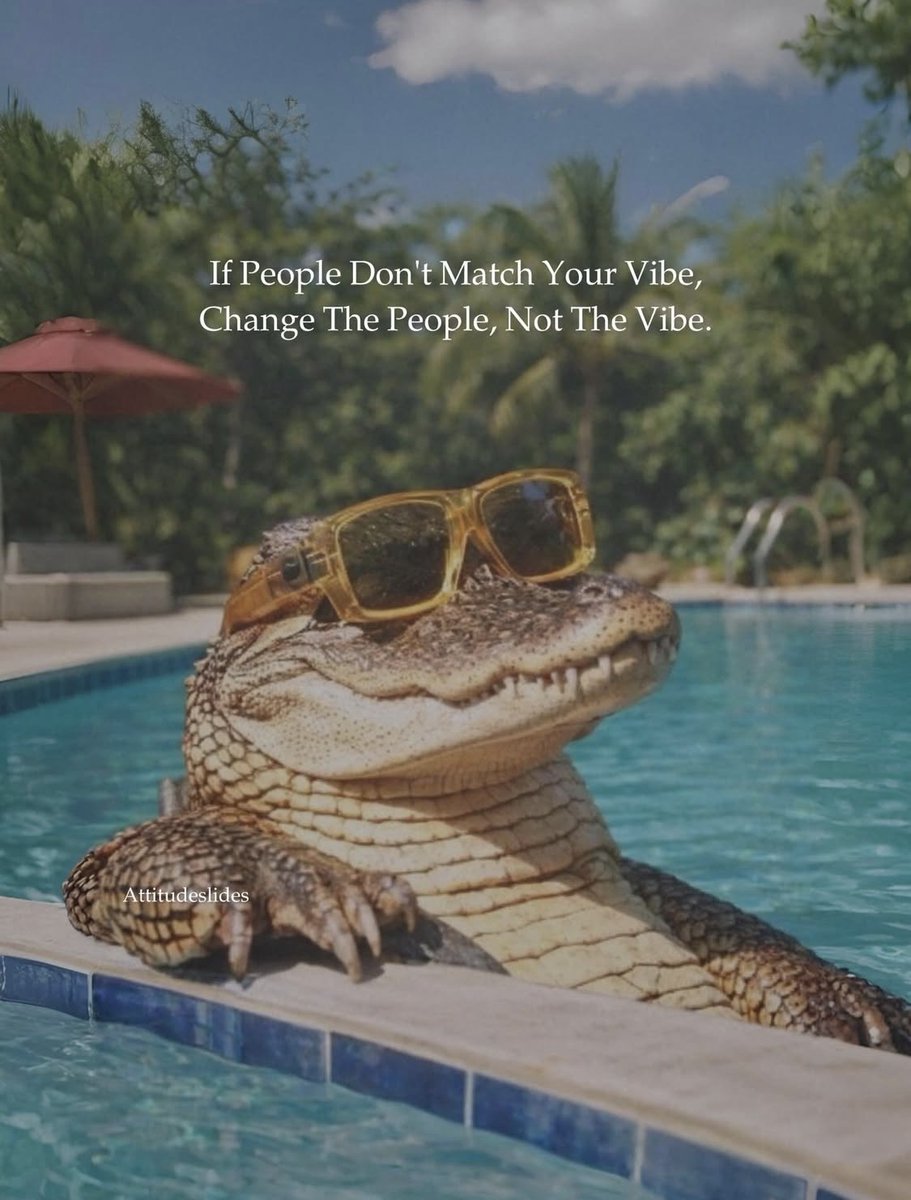 Mind Essentials (@mind_essentials) on Twitter photo 