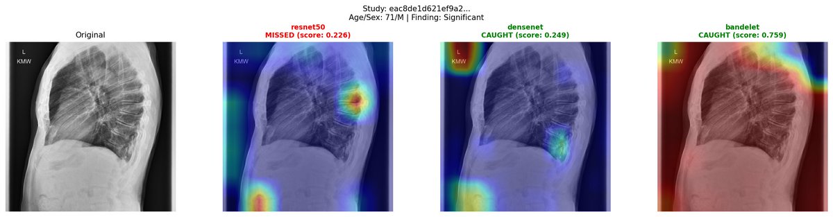 Braid Health tweet media