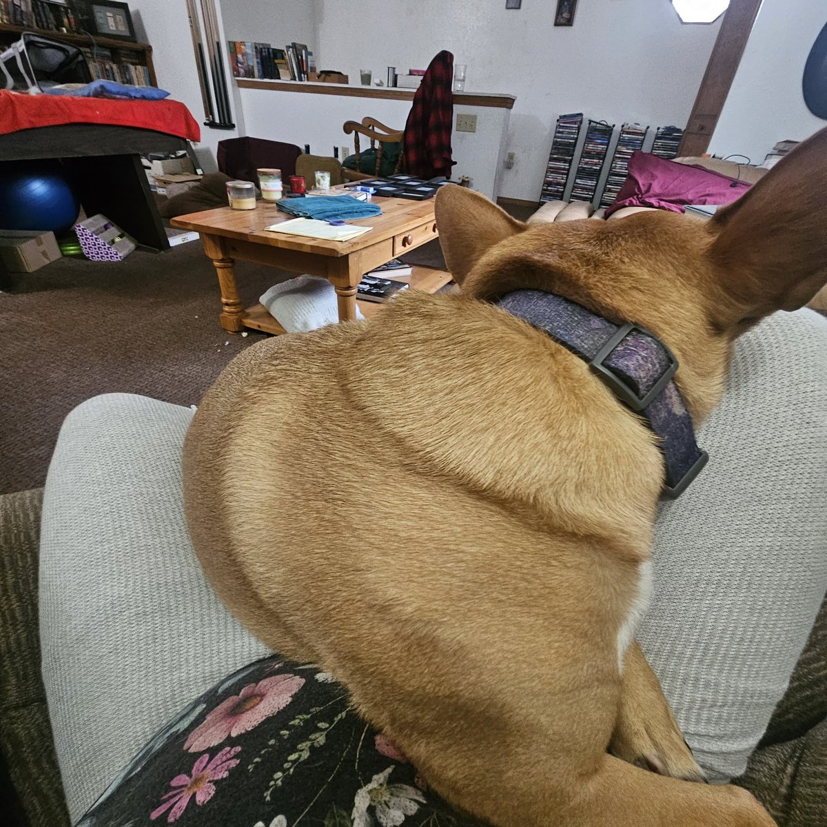 ⛦ (Ky) Kyrus Frei tweet media