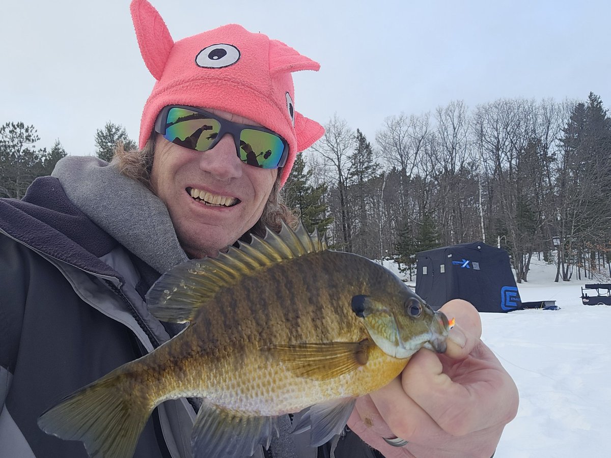 PeteMaina's tweet photo. Being toothless day - some recent toothless fishes. Now seeing some inland lakes with low oxygen now and fish being forced up, muskie tackle prep will begin on cold windy days and fish with Tex on nice days.
If you got some toothless let's see em!
#ToothlessTuesday https://t.co/l6Cve9ed98