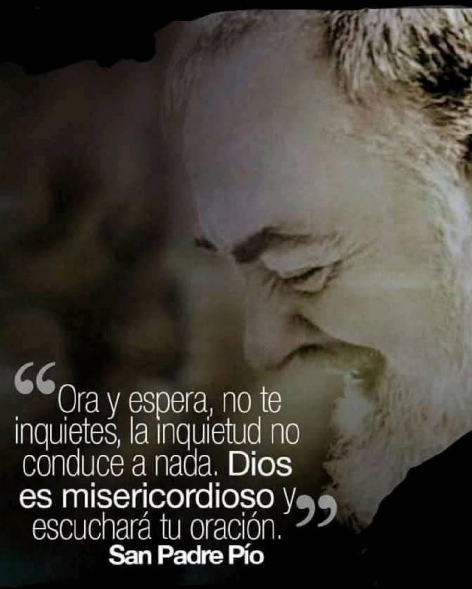 San Padre Pio de Pietrelcina tweet media