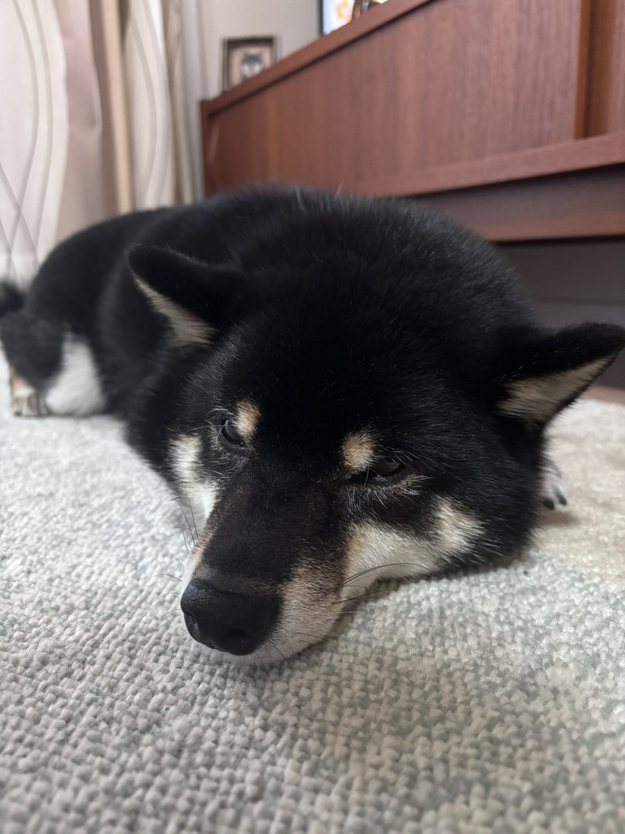 久しぶりの雨☔　我慢するよ