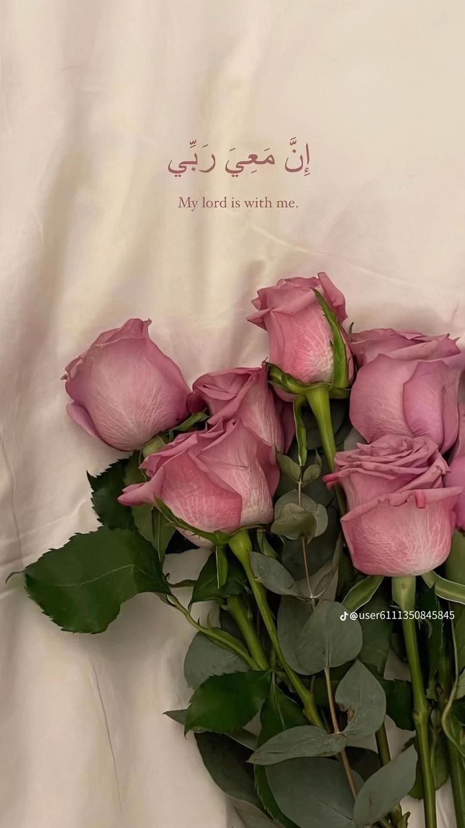 ･ *.･ ｡ . *･ 

لم يڪن يئسا ًبل انني ادرڪت، 
يا الله ان لڪل أمر اؤجّل حڪمه _، 
وان مانستعجله _بالدعاء_ 
لا يأتي الاّ بأوانه ..! 🤍
. 
 ･ *.･ ｡ . *･