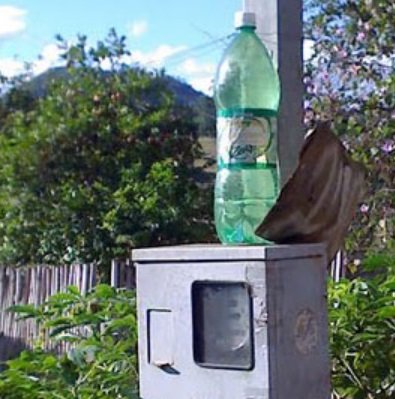 Angrigo Neves tweet media