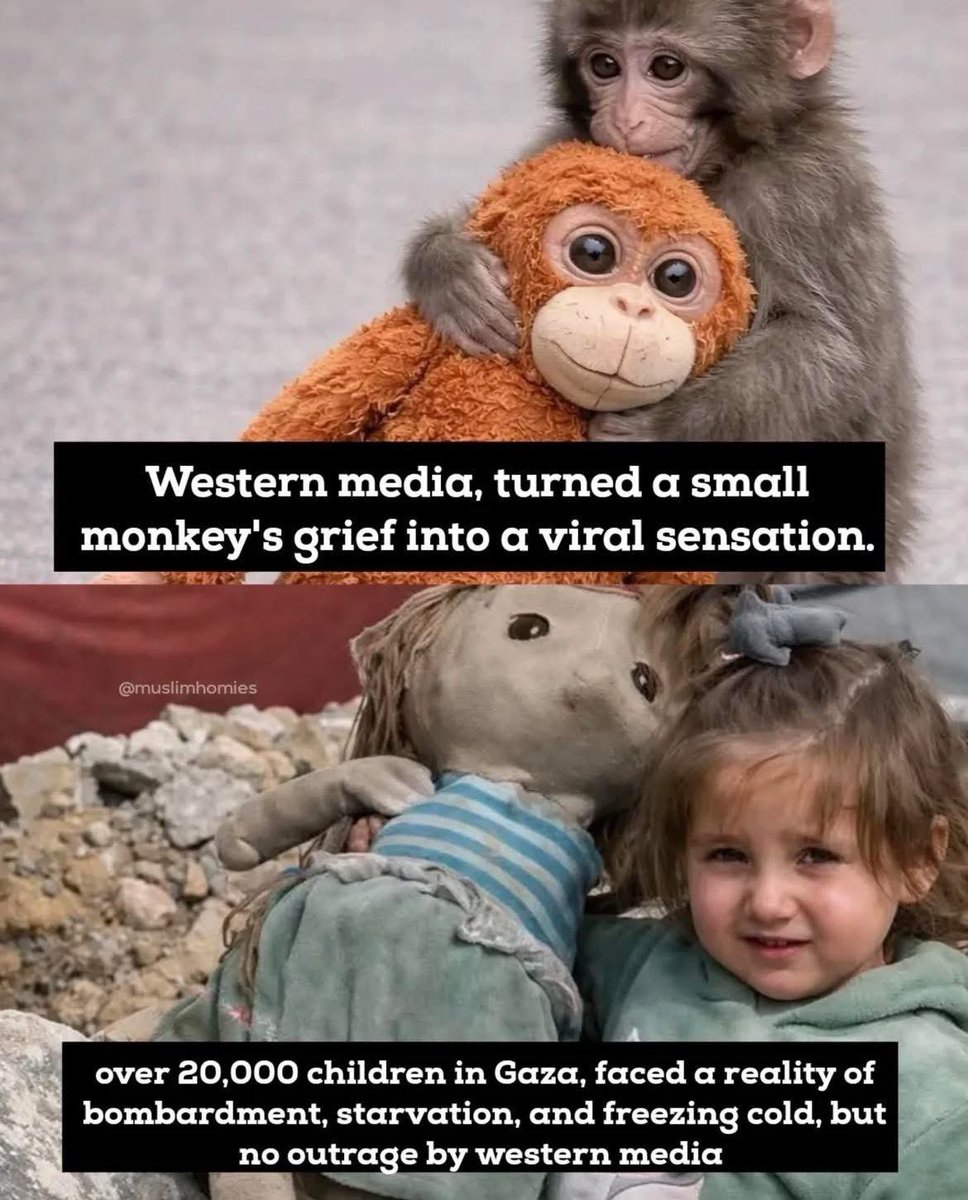 This is the world we live in. 💔