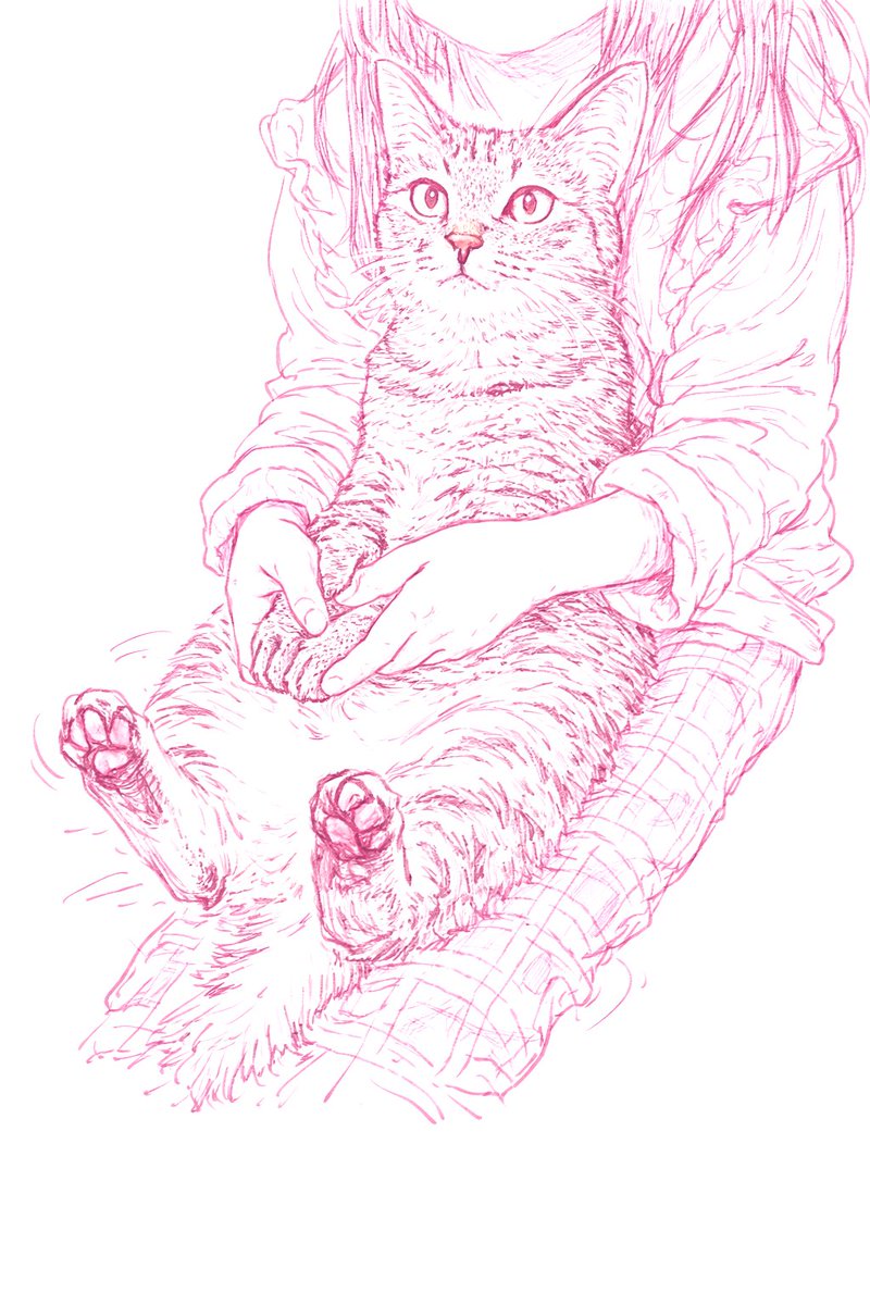 なんて可愛らしい🥰 ありがとうございます✨