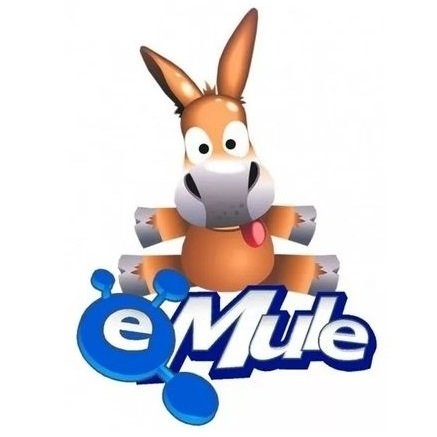 Rayane tweet media