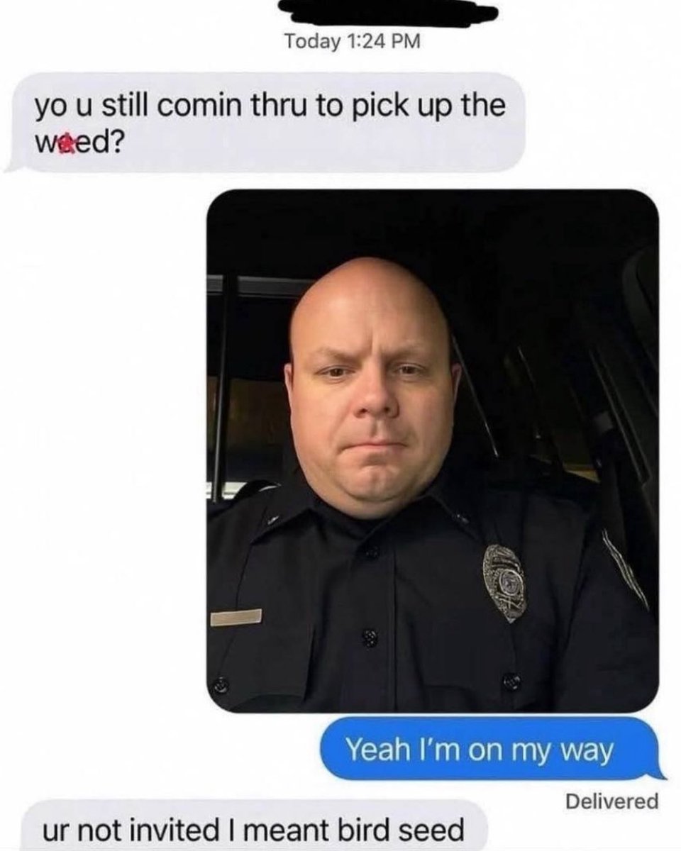 insane dms tweet media