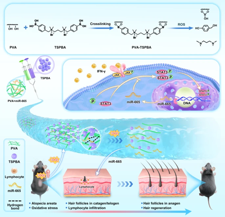 Dermal Cell News tweet media