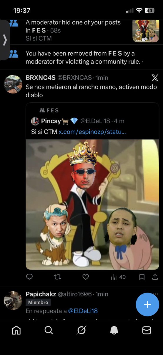 ElDeLi18's tweet photo. Puras perras 🤣🤣🤣 https://t.co/UifdheaGDf