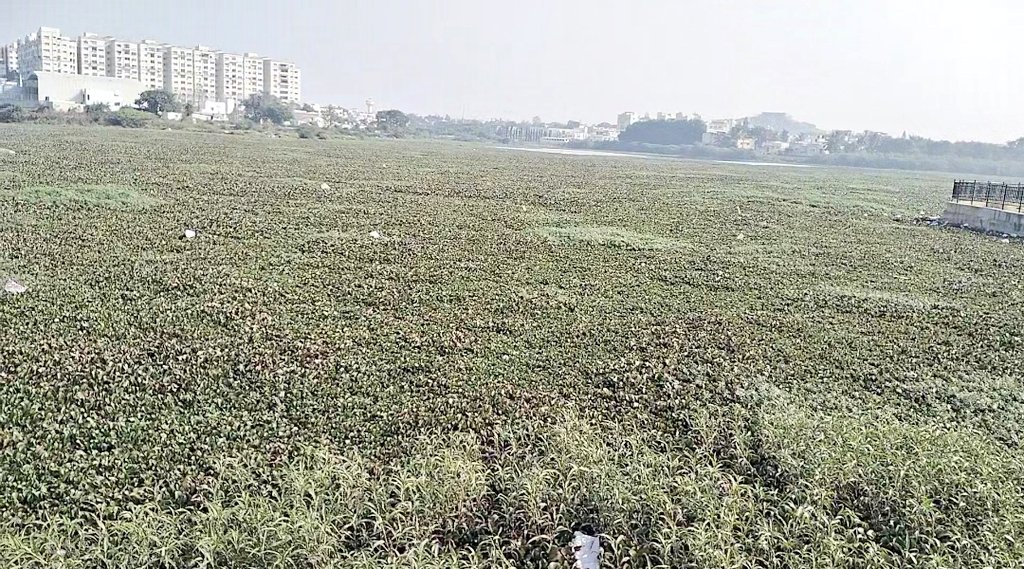 Mohammed Inayath ulla sharief tweet media