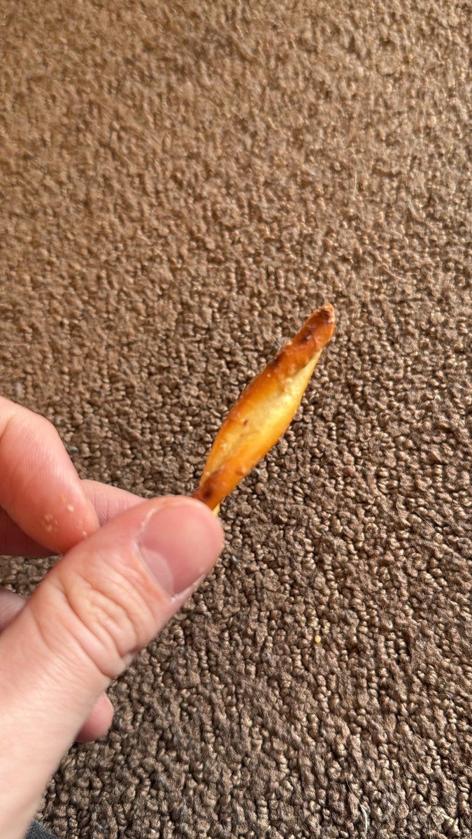 Defenseless_Me's tweet photo. You bet your ass I’m eating pretzels off my nieces snack plate https://t.co/26Zzpu5C24