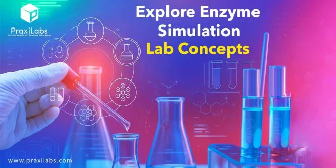 PraxiLabs's tweet photo. 🧬 Why is the Enzyme Simulation Lab one of the most challenging experiments in university education?

✔️ Step-by-step enzyme mechanism exploration
✔️ Test variables like temperature, pH &amp; substrate concentration
✔️ Integrated assessments &amp; performance tracking

#PraxiLabs https://t.co/B0XCo6ZJjr