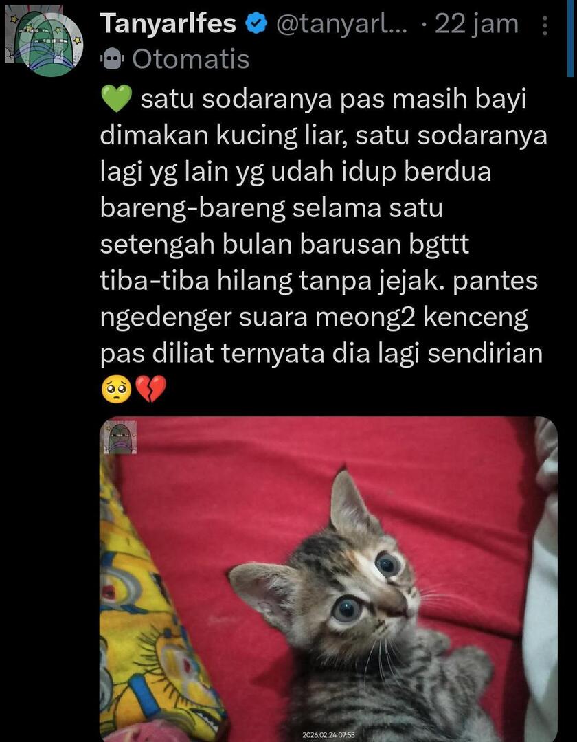 Tanyarlfes tweet media