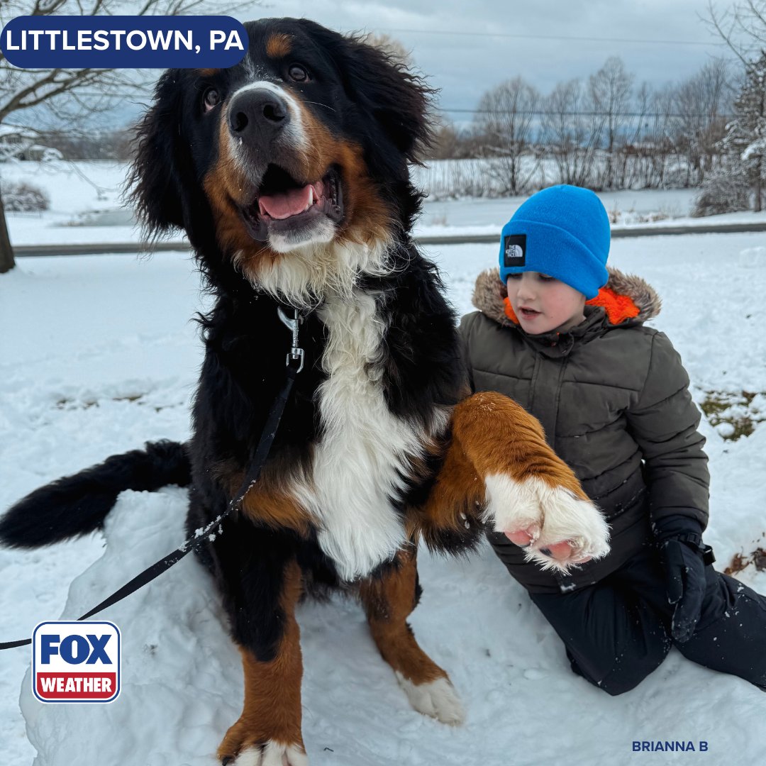 foxweather's tweet image. WINTER TO REMEMBER ‼️❄️: Families across the East Coast have taken to the snow following a historic winter storm that has left some communities with nearly 2 feet of accumulation. Share your photos and videos at FOXWeather.com/Connect.

#Winter #Wintervibes #Snowstorm #Snow