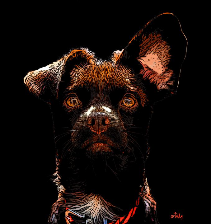 ar_tully's tweet photo. Art of the Day! "Rio the Spanish rescue dog". Buy at: https://t.co/PCrznzHjPl https://t.co/cMgzlOg09s