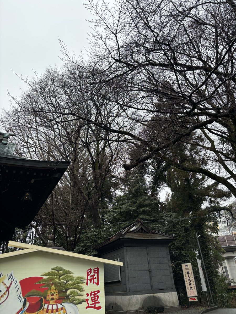 kai_active's tweet photo. ＃イマソラ
＃始動
始まりの日、恵みの雨
活躍を期待して🍀 https://t.co/PZ0dEHvmcl