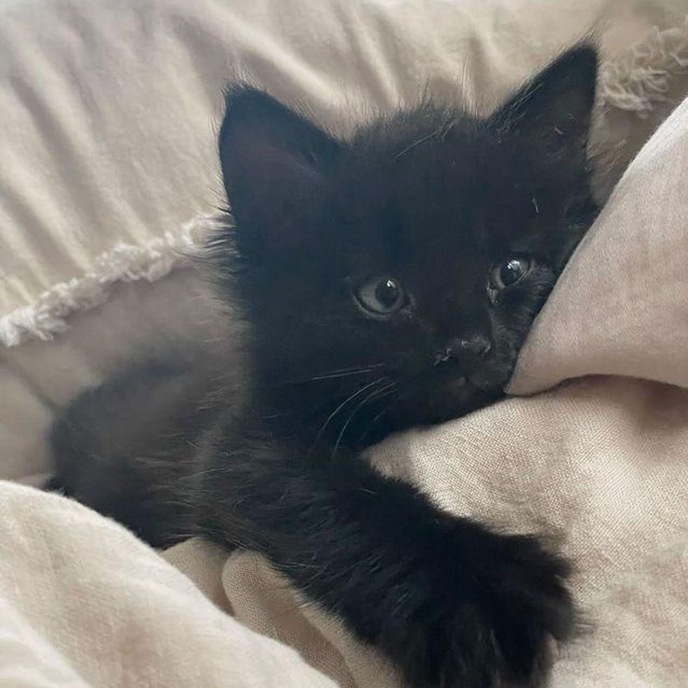 AKI ᝰෆ‍ tweet media