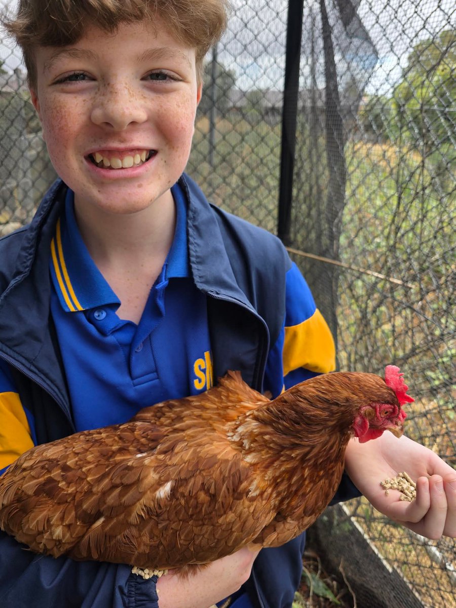 St Monica's College tweet media