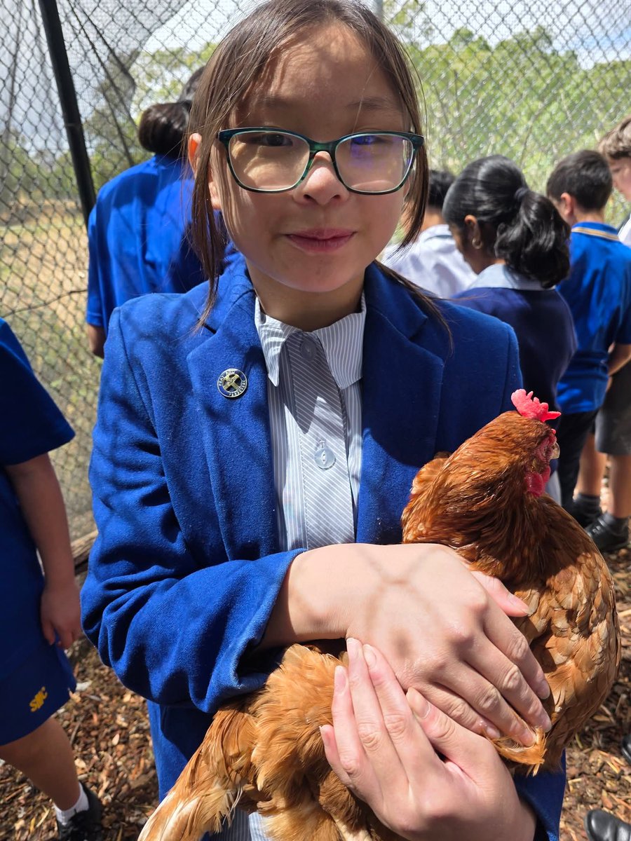 St Monica's College tweet media
