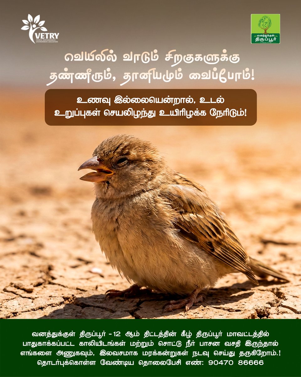 Vetry - வெற்றி tweet media