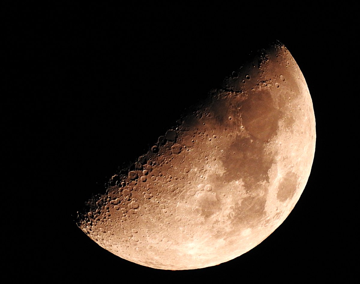 Nigey`s Wild Walks tweet media