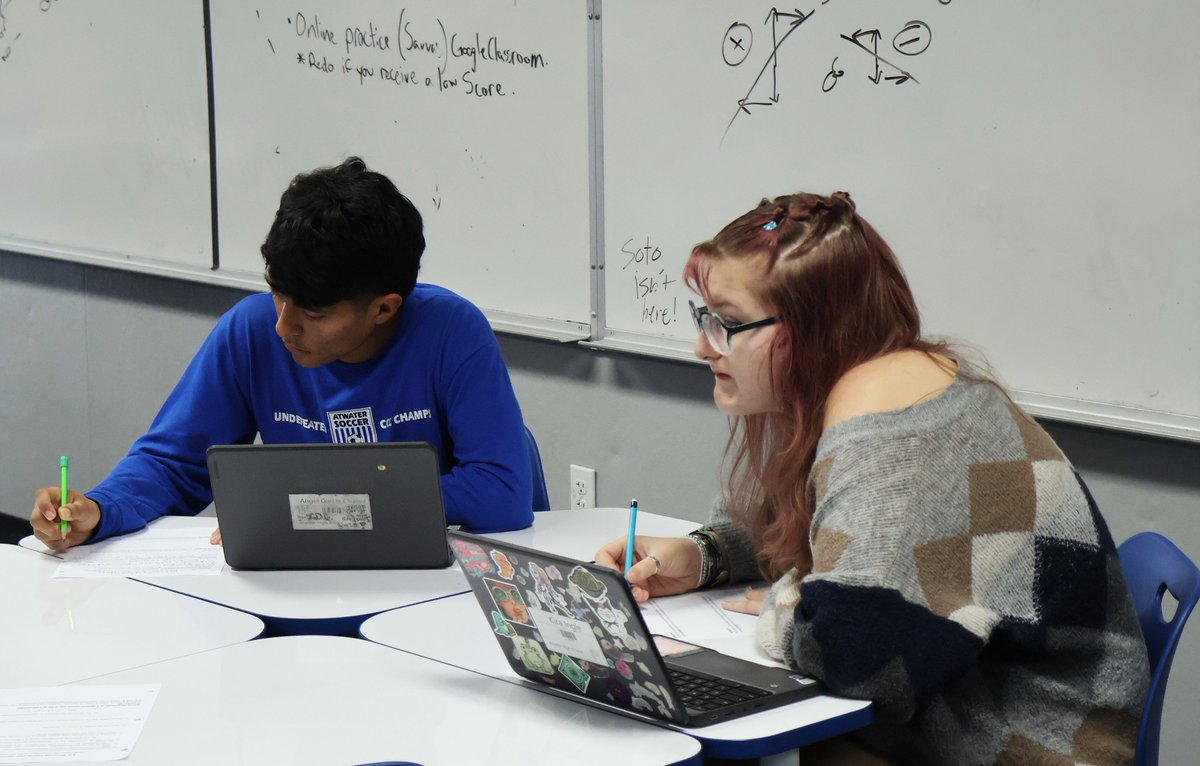 College Bridge tweet media