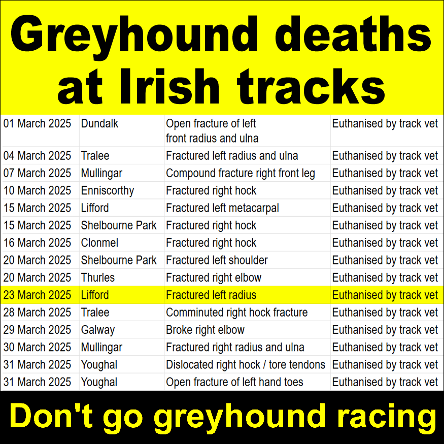 Ban Blood Sports tweet media