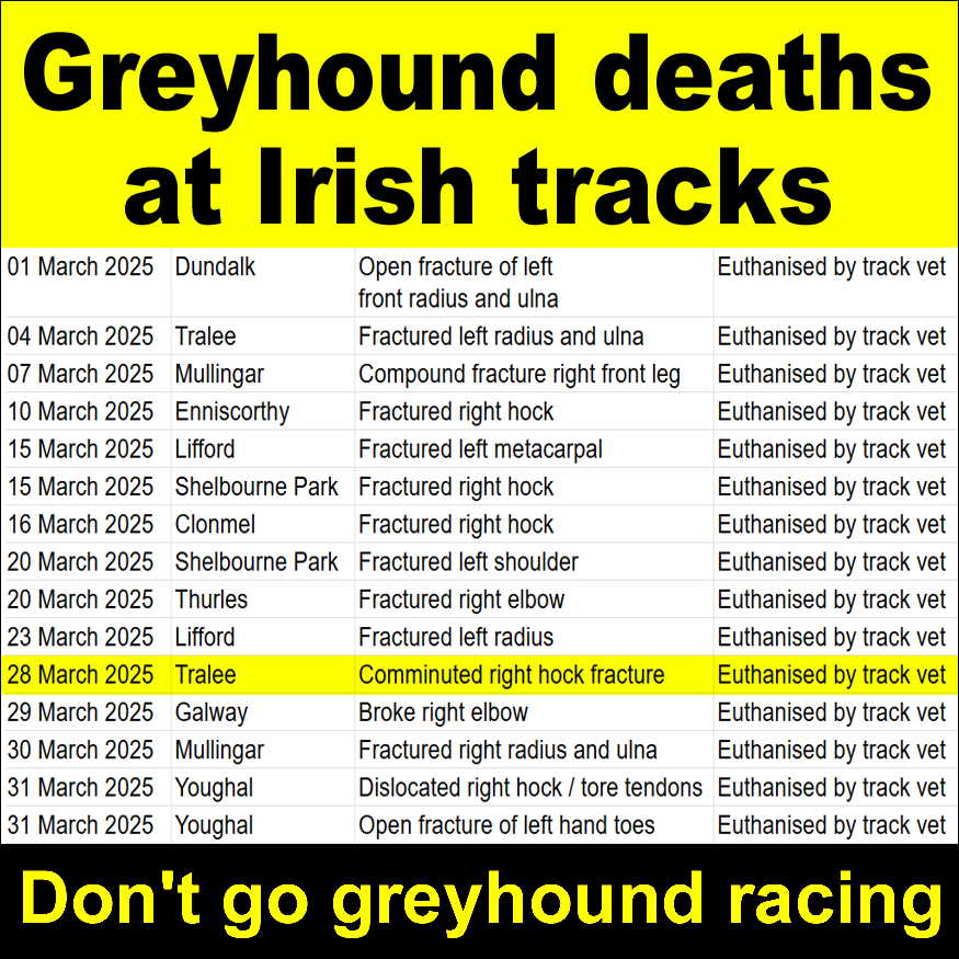 Ban Blood Sports tweet media