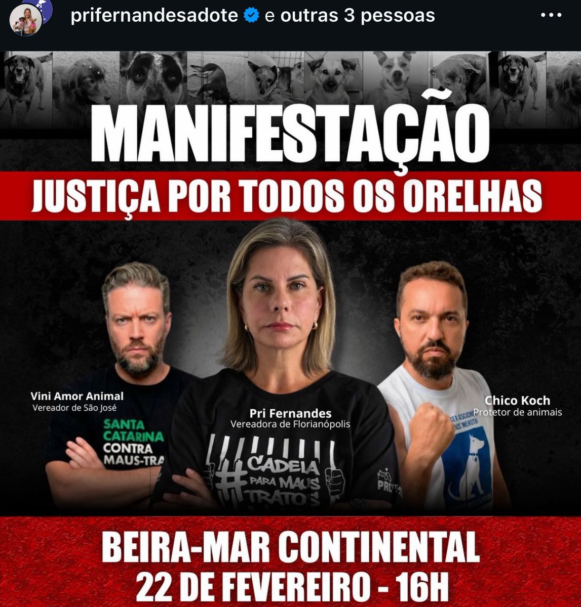 kaarolzx's tweet photo. @barcelos405 Não só isso, ela também criou 99% das manifestações pelo Orelha em Florianópolis. O perfil dela no insta tem um abaixo assinado que ela mesma criou pra federalizar o caso. O perfil dela só tem fotos do Orelha, tudo pra engajar. O PIX CAIU NA CONTA https://t.co/KrE31mZciI