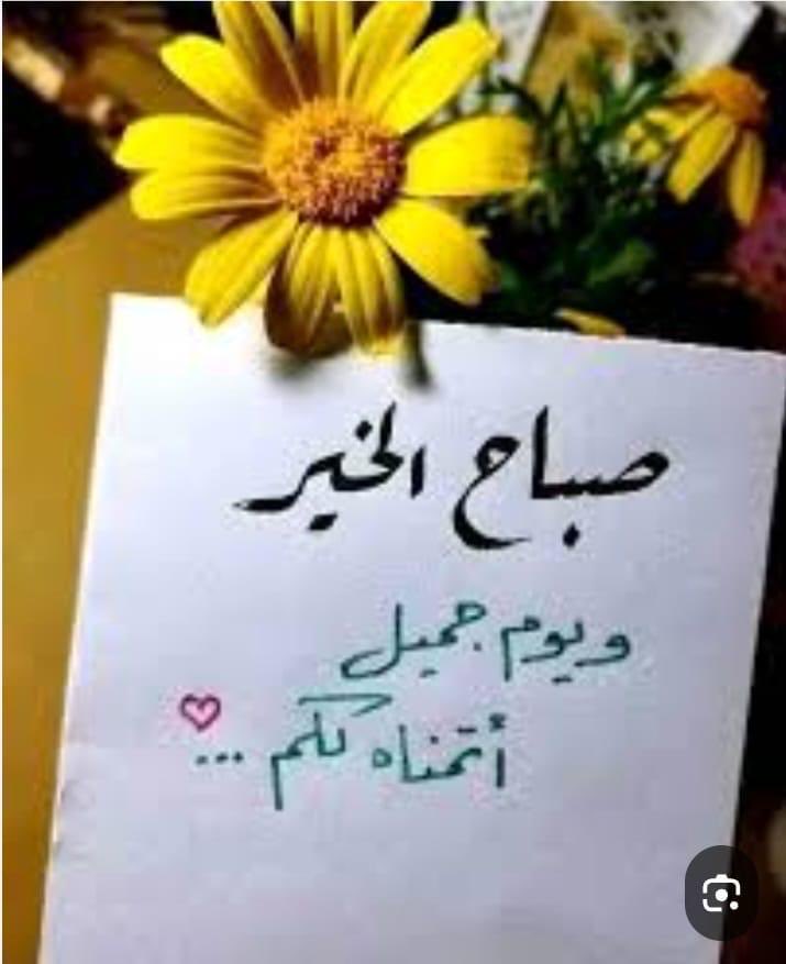 بدر العطية 🇰🇼 tweet media